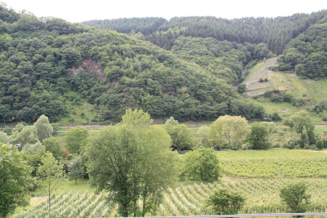 Weingut Sauer-Kettermann Villa Enkirch Eksteriør bilde
