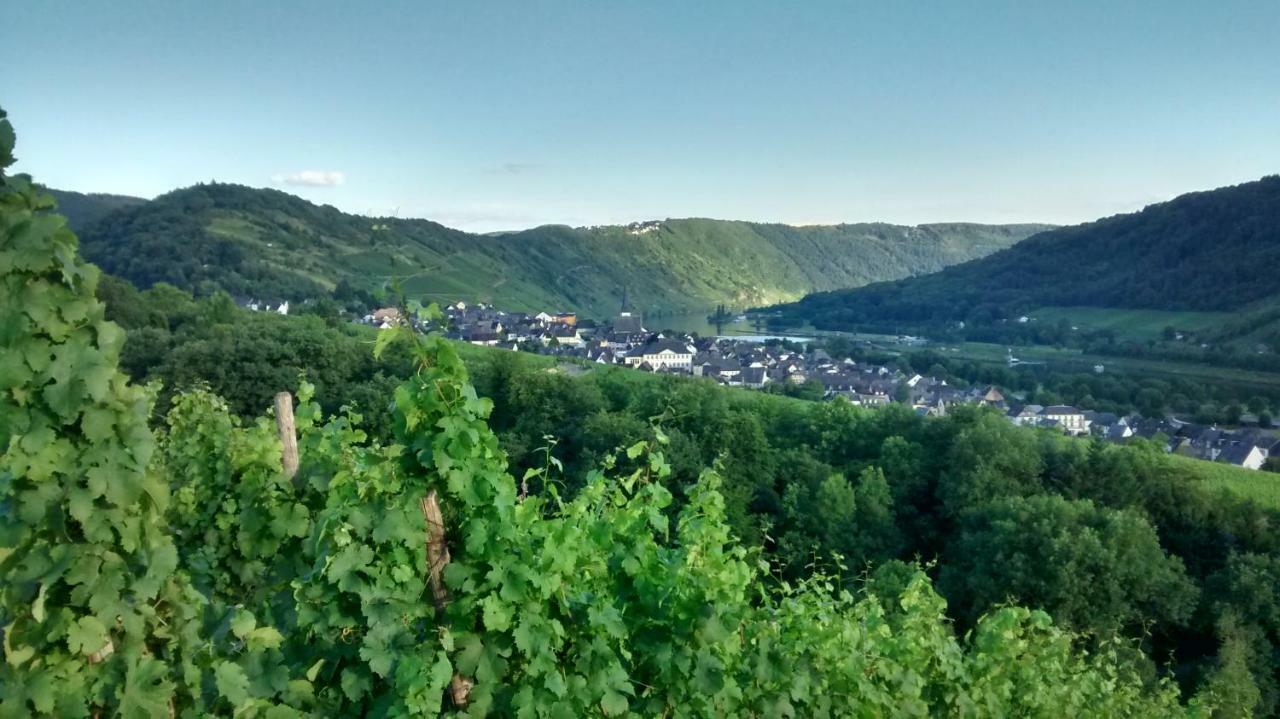 Weingut Sauer-Kettermann Villa Enkirch Eksteriør bilde