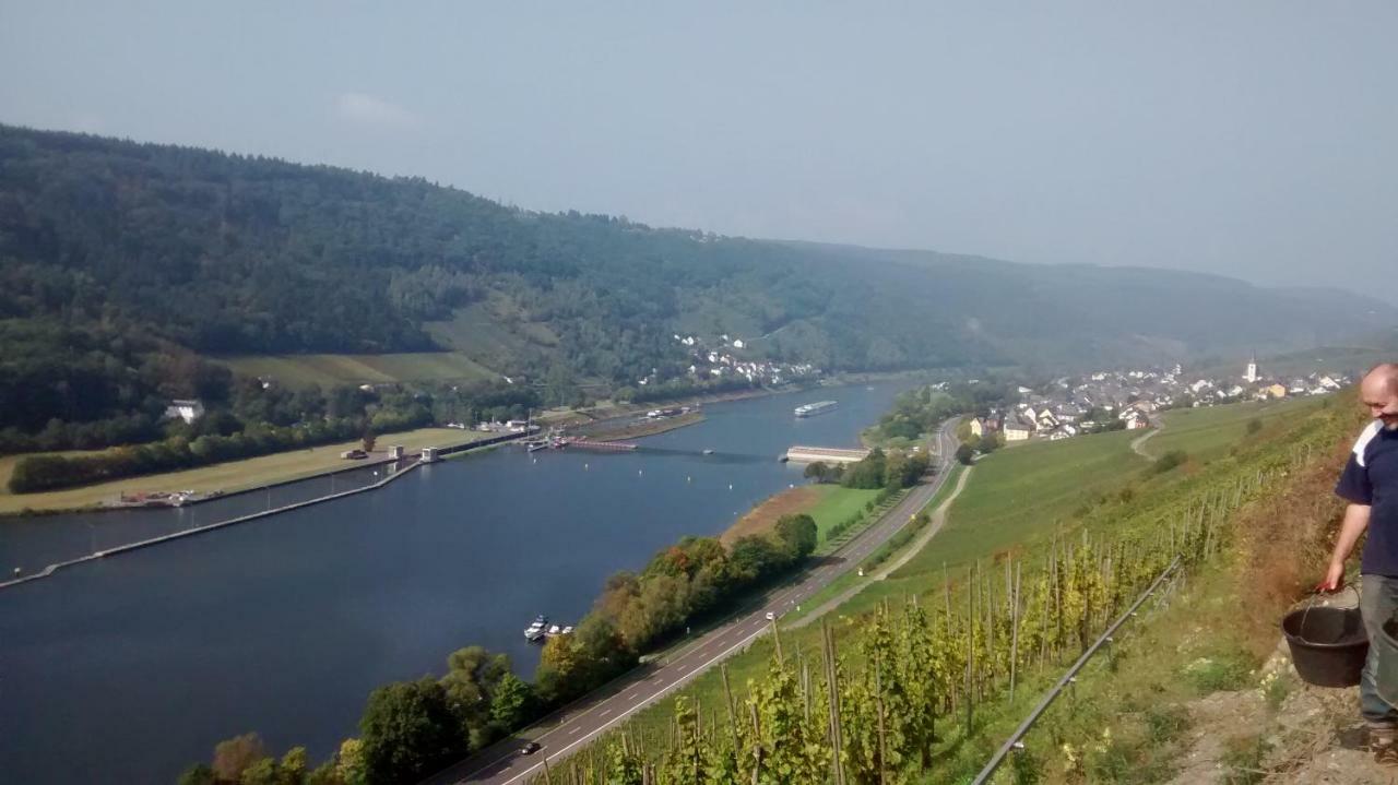 Weingut Sauer-Kettermann Villa Enkirch Eksteriør bilde