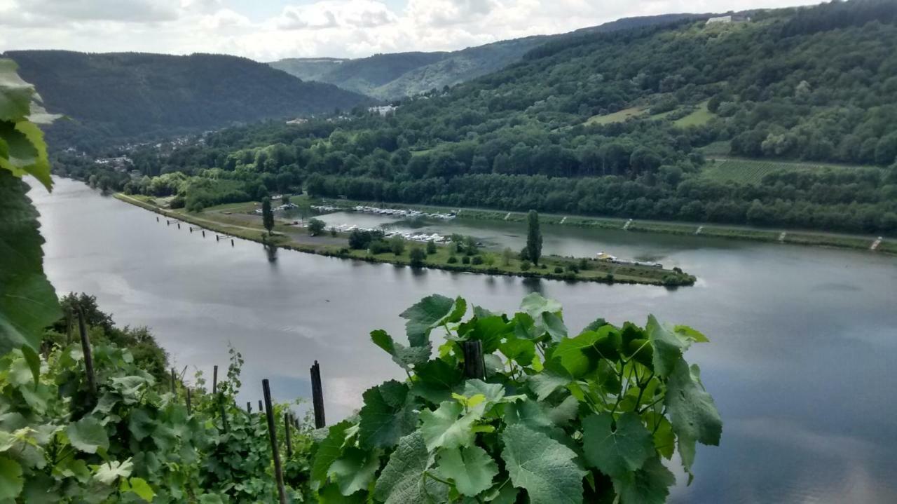 Weingut Sauer-Kettermann Villa Enkirch Eksteriør bilde