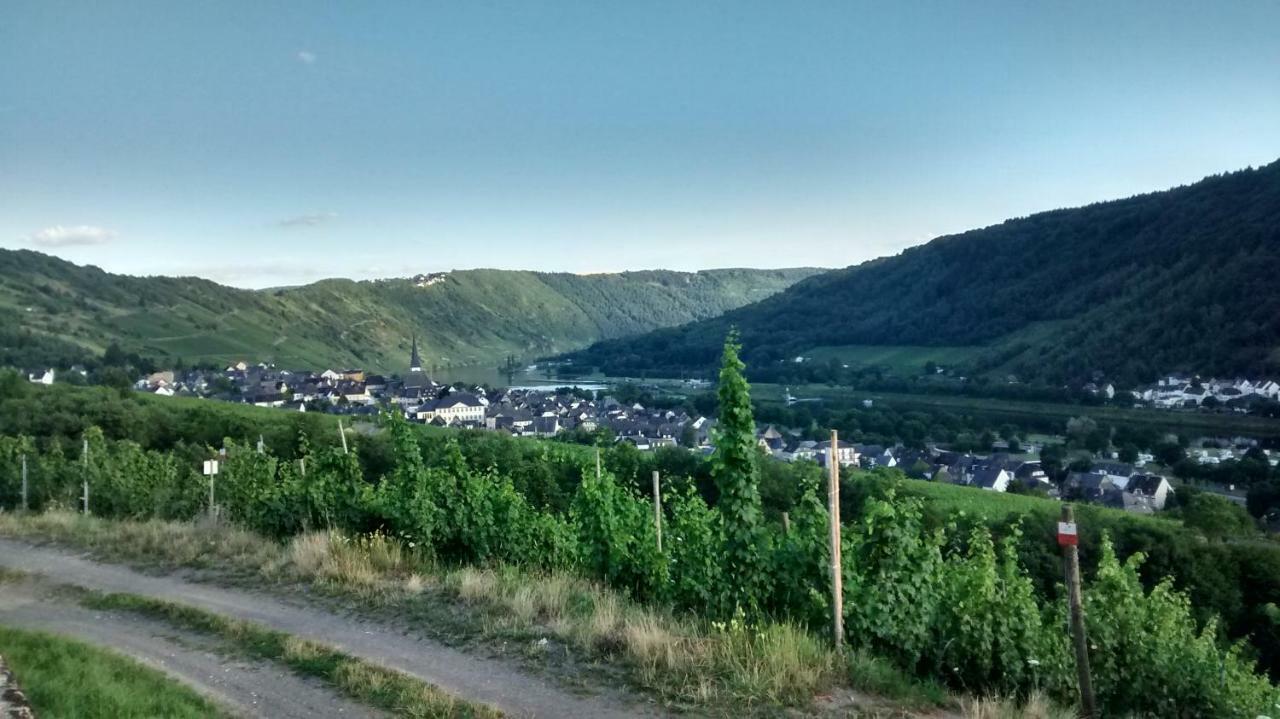 Weingut Sauer-Kettermann Villa Enkirch Eksteriør bilde