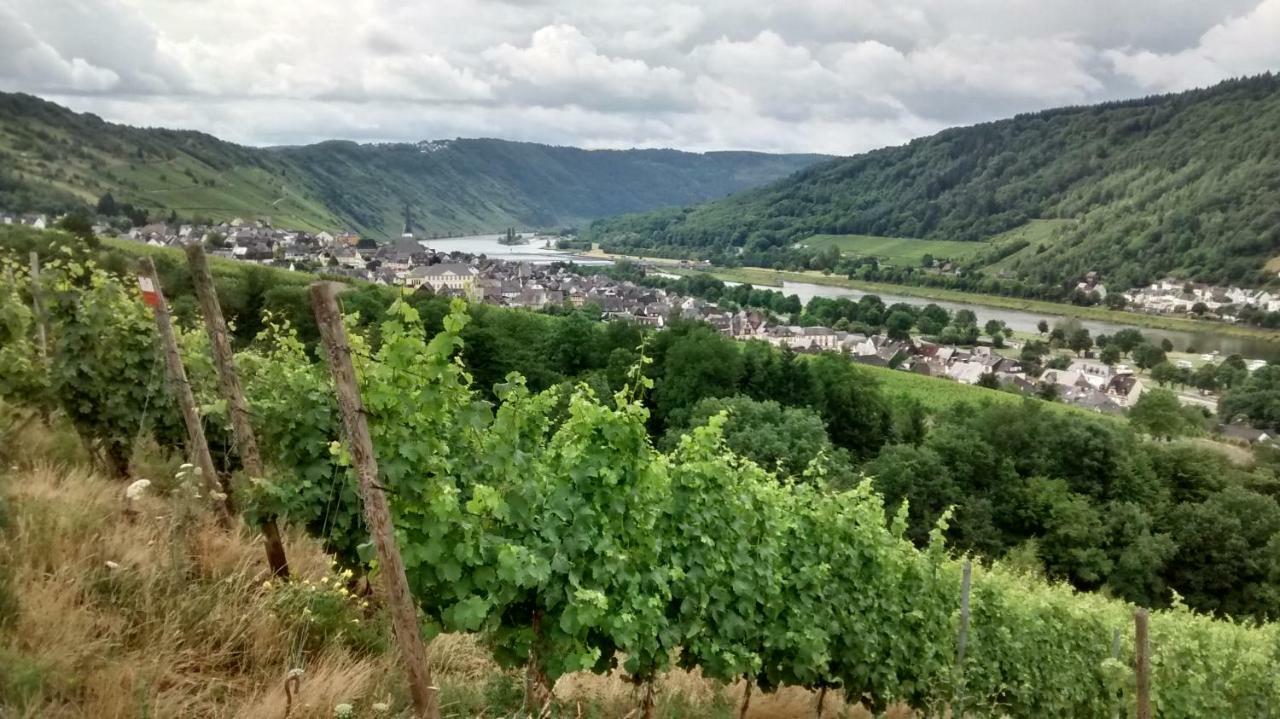 Weingut Sauer-Kettermann Villa Enkirch Eksteriør bilde